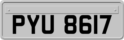 PYU8617