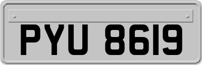 PYU8619