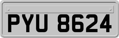 PYU8624