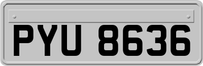 PYU8636