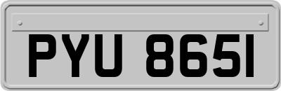 PYU8651