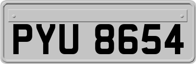 PYU8654