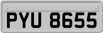 PYU8655