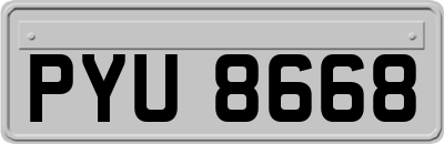 PYU8668