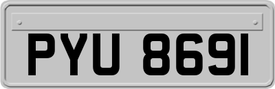 PYU8691