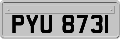 PYU8731