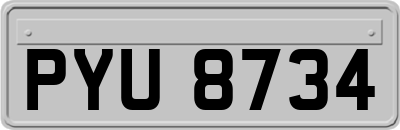 PYU8734