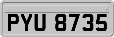 PYU8735