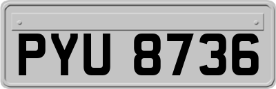 PYU8736