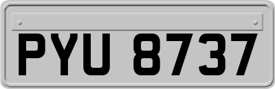PYU8737