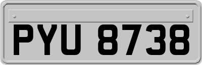 PYU8738