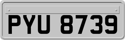 PYU8739