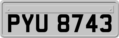 PYU8743