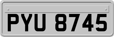 PYU8745