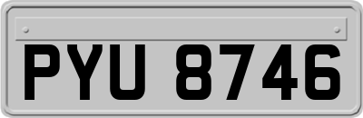 PYU8746