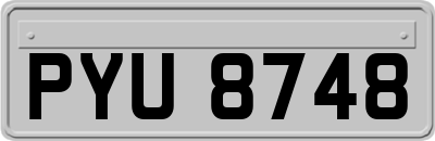 PYU8748