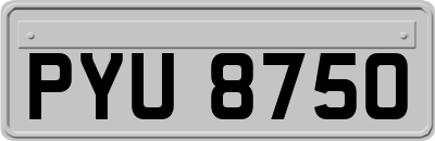 PYU8750