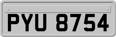 PYU8754