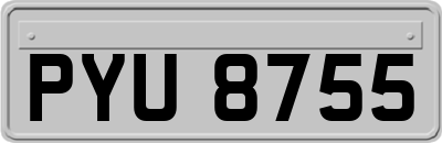 PYU8755