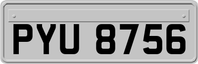 PYU8756