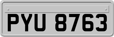 PYU8763