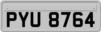 PYU8764