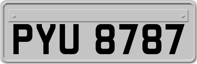 PYU8787