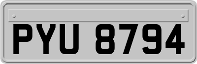 PYU8794