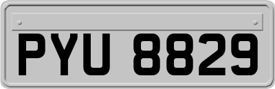 PYU8829