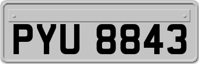 PYU8843