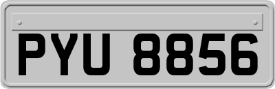 PYU8856