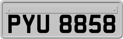 PYU8858