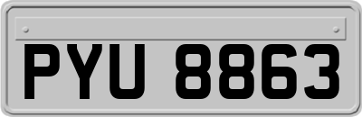 PYU8863