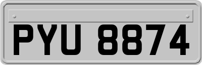 PYU8874