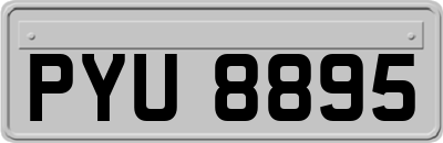 PYU8895