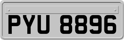 PYU8896