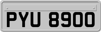 PYU8900