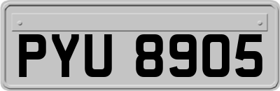 PYU8905