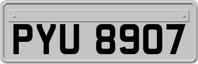 PYU8907