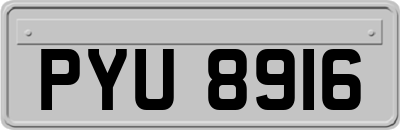 PYU8916