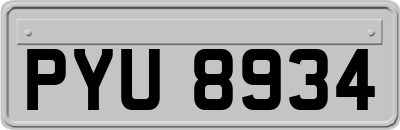 PYU8934