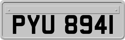 PYU8941