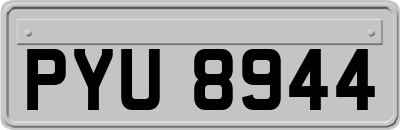 PYU8944