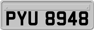 PYU8948