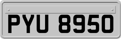 PYU8950