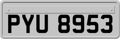 PYU8953