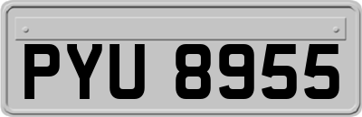 PYU8955