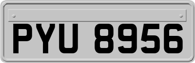 PYU8956