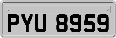 PYU8959