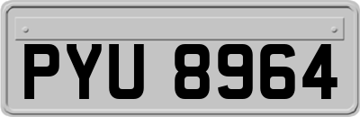 PYU8964